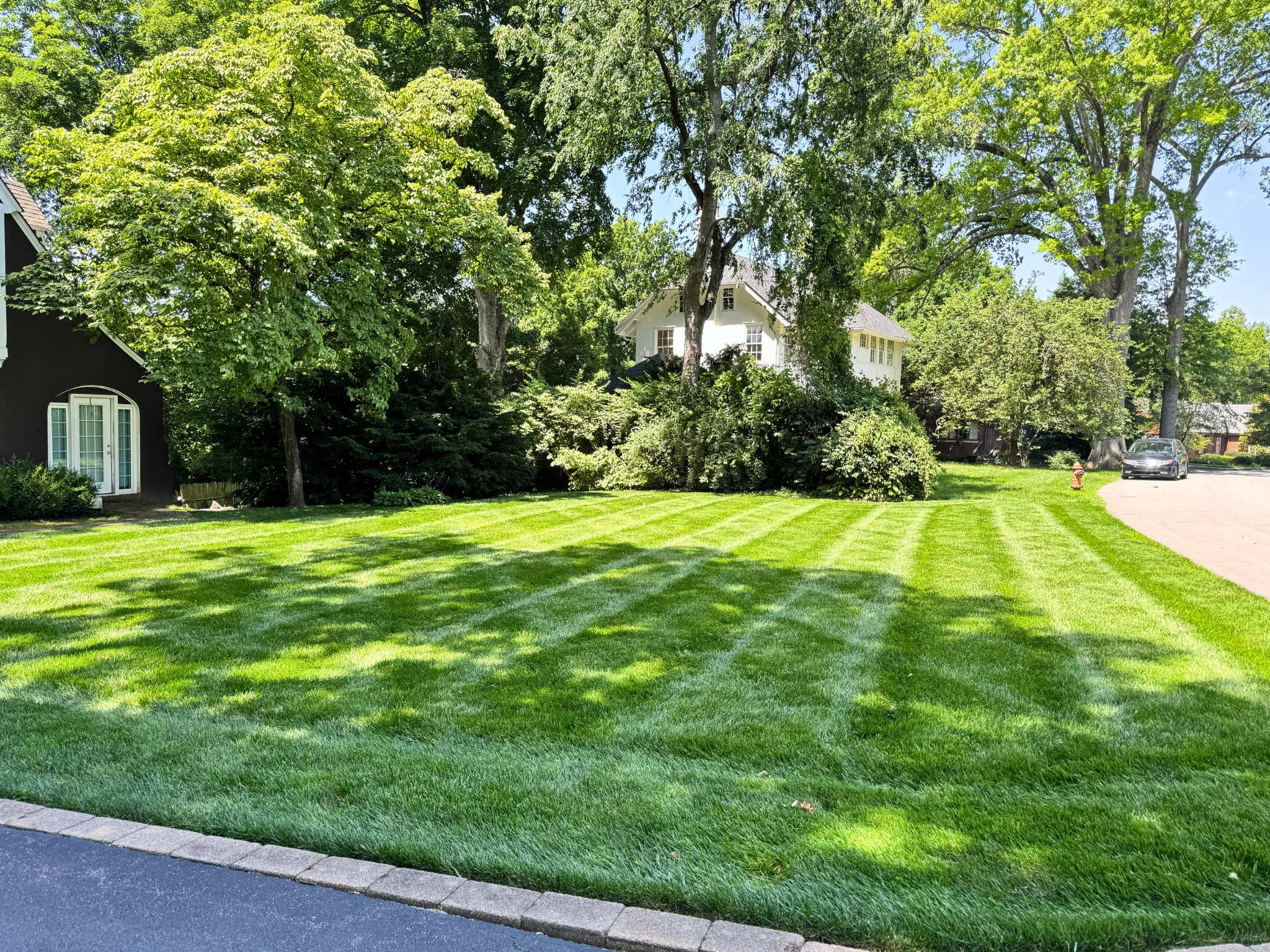 Lawn care maintenance mowing
