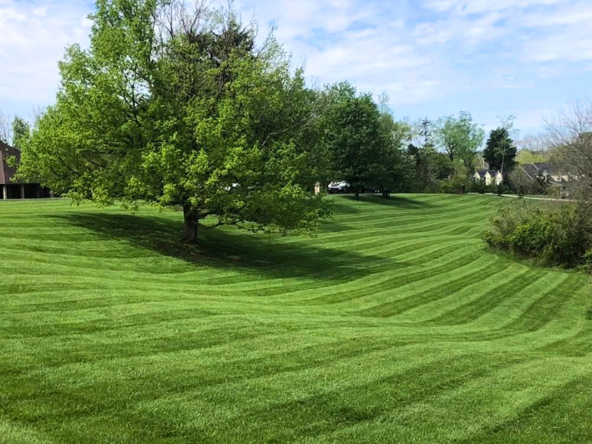 Commercial precision edging