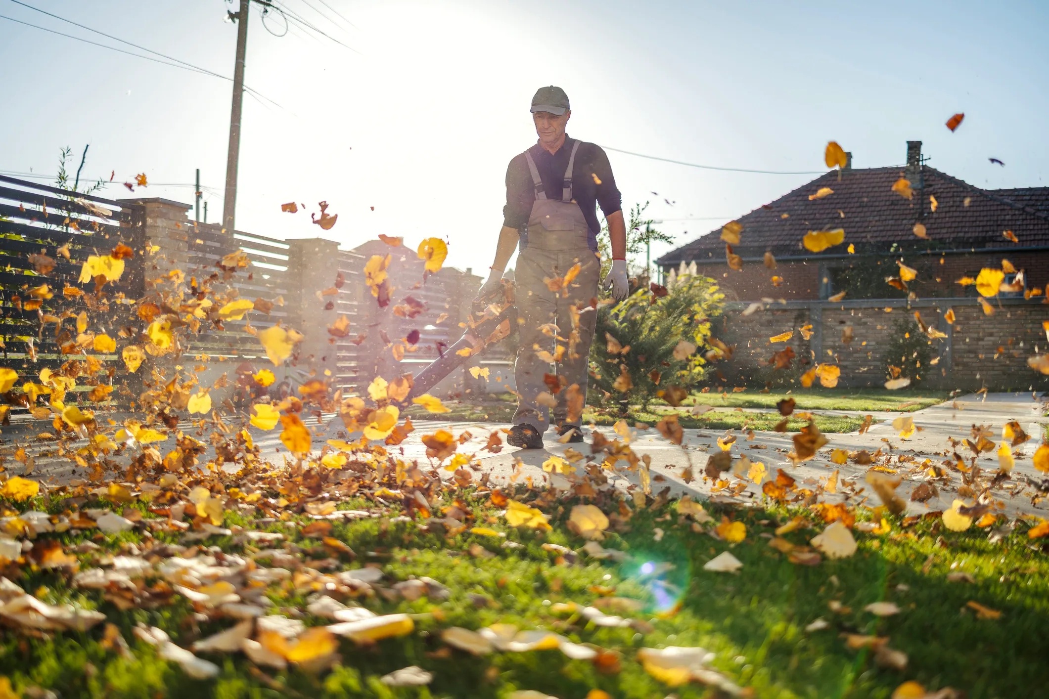 Lawn care maintenance mowing