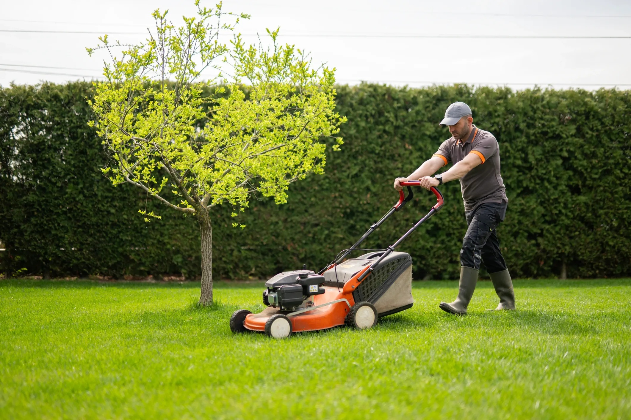 Lawn care maintenance mowing
